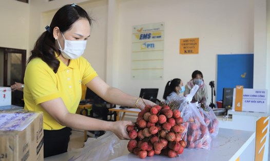 Nhân viên Bưu điện Lâm Đồng kiểm tra  vải thiều trước khi giao cho khách mua. Ảnh K. Phúc