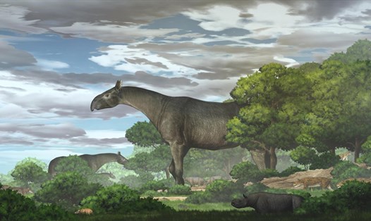 Tái tạo sinh thái của loài tê giác khổng lồ mới Paraceratherium linxiaense. Ảnh: Viện Khoa học Trung Quốc