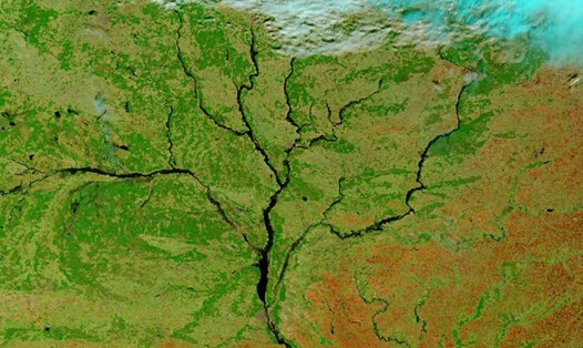 Ảnh vệ tinh Terra của NASA về khu vực miền trung Ukraina. Hố thiên thạch Boltysh nằm ở phía nam hữu ngạn sông Dnepr. Ảnh: NASA
