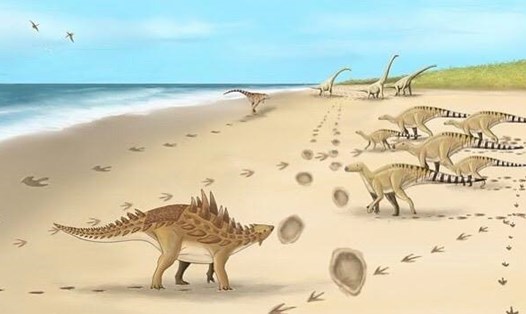 Các dấu chân được cho là của ít nhất sáu loài khủng long để lại. Ảnh: Bảo tàng và Phòng trưng bày Nghệ thuật Hastings