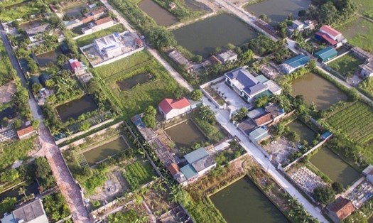 Cả một khu dân cư xây dựng trái phép trên đất nông nghiệp ở TP.Thái Bình. Ảnh: T.D