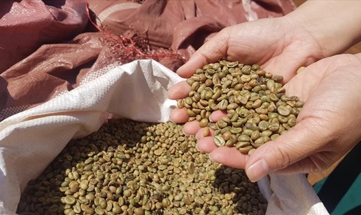 Cà phê là một trong những mặt hàng nông sản xuất khẩu lạc quan trong 5 tháng đầu năm 2021. Ảnh: Vũ Long
