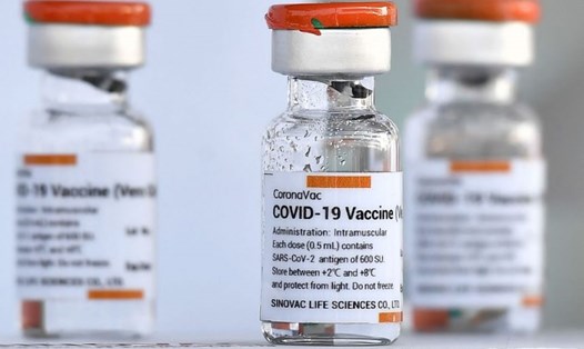 Tổ chức Y tế Thế giới phê duyệt vaccine COVID-19 do Sinovac Biotech của Trung Quốc sản xuất vào danh sách sử dụng khẩn cấp. Nguồn: AFP