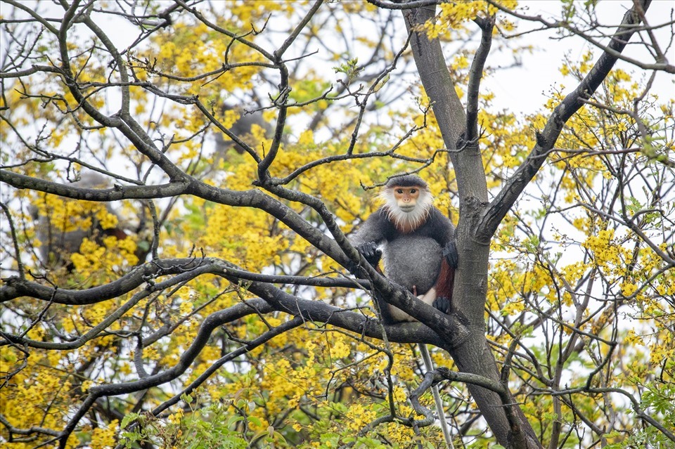 Việt Nam quy hoạch phát triển du lịch bền vững, tăng trưởng xanh. Ảnh minh hoạ: Lê Tuấn