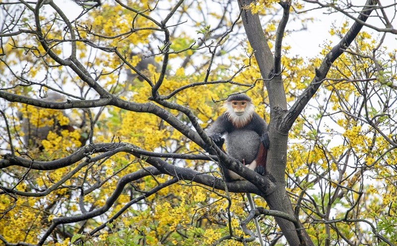 Việt Nam quy hoạch phát triển du lịch bền vững, tăng trưởng xanh. Ảnh minh hoạ: Lê Tuấn