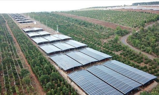 Nhiều dự án điện mặt trời trên đất nông nghiệp ở tỉnh Gia Lai bước đầu có vi phạm về trình tự, thủ tục xây dựng. Ảnh T.Tuấn