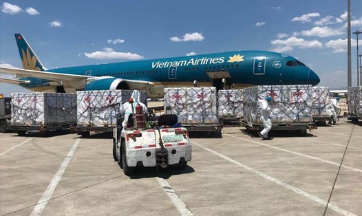Các hãng hàng không Việt Nam vẫn chủ yếu vận chuyển hàng hóa trong bụng máy bay và chưa có hãng bay vận tải chuyên biệt. Ảnh: VNA