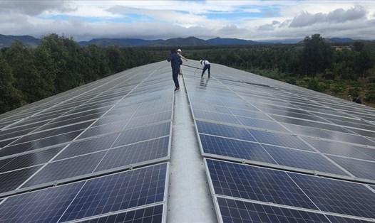Lo ngại đầu tư điện mặt trời ở Gia Lai sẽ phá vỡ quy hoạch đất nông nghiệp. Ảnh: Thanh Tuấn