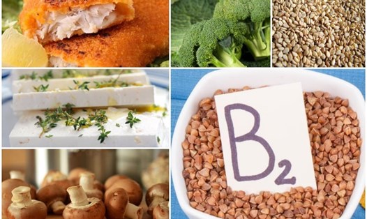 Các loại thực phẩm này rất giàu vitamin B2 tốt cho sức khỏe khi bạn sử dụng. Đồ hoạ: A.N