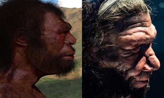 Người Neanderthal (phải), người Denisovan (trái) và người hiện đại có thể đã từng sống cùng nhau khoảng 44.000 năm trước. Ảnh: Viện Nhân chủng học Tiến hóa Max Planck