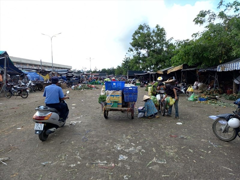 laodong.vn