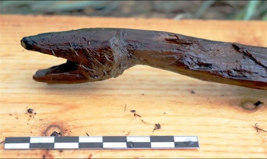Cận cảnh tạo tác khảo cổ bằng gỗ hình con rắn có niên đại 4.000 năm tuổi. Ảnh: Đại học Turku