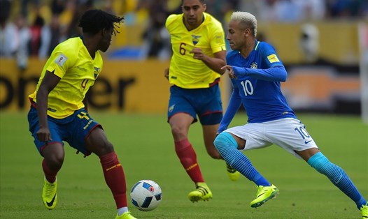 Ecuador đe dọa chuỗi trận toàn thắng của Brazil tại vòng loại World Cup 2022 khu vực Nam Mỹ. Ảnh: AFP