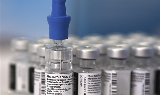 Vaccine COVID-19 của Pfizer. Ảnh: AFP