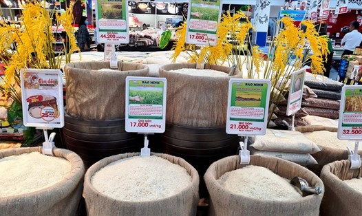 Dù đã giảm thêm 5 USD/tấn, nhưng giá gạo xuất khẩu của Việt Nam đang cao nhất. Ảnh: Vũ Long