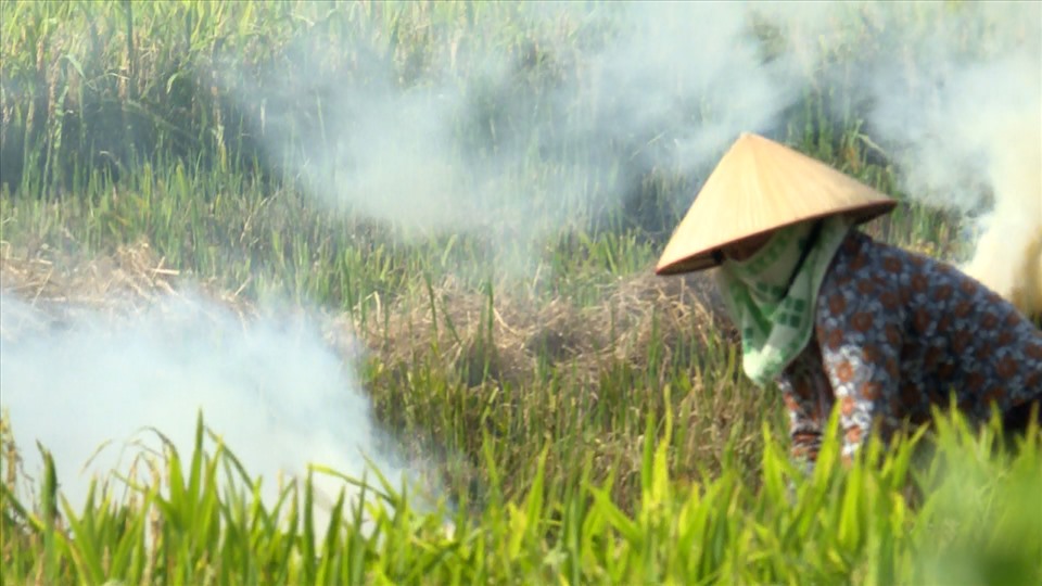 Người dân tại Thái Bình đốt rơm, rạ ngay tại cánh đồng. Ảnh: T.D
