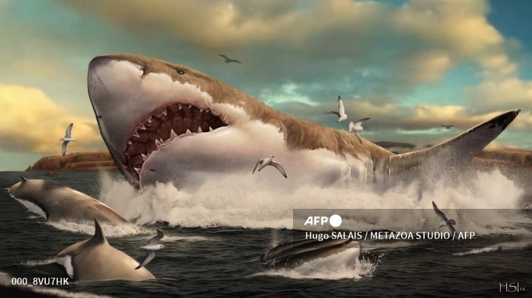 Quái vật thời tiền sử Megalodon sát thủ hung tợn nhất lịch sử Trái đất