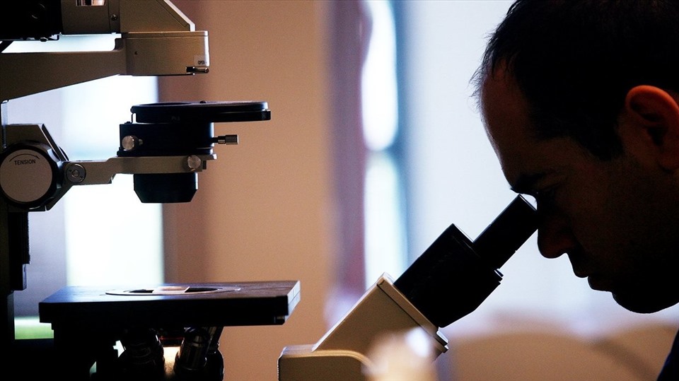 Bệnh lạ xuất hiện ở Canada. Ảnh: Chính quyền New Brunswick/Reuters