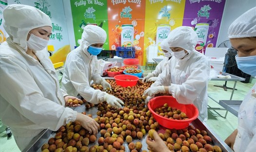 Năm 2021, Việt Nam đẩy mạnh xuất khẩu vải thiều. Ảnh: Hải Nguyễn