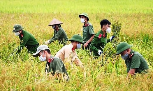 Giá gạo xuất khẩu của Việt Nam đang ở mức hấp dẫn bởi chất lượng gạo vượt trội. Ảnh: Nguyễn Anh Tuấn