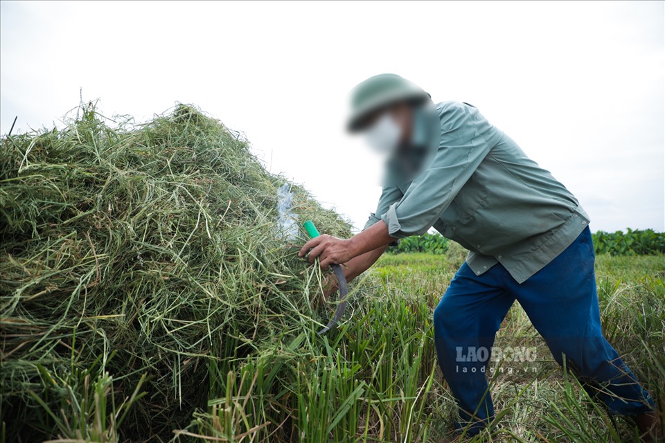 Hà Nội: Gần 350 tấn bụi và hơn 23.000 tấn CO2 phát sinh mỗi vụ đốt rơm rạ