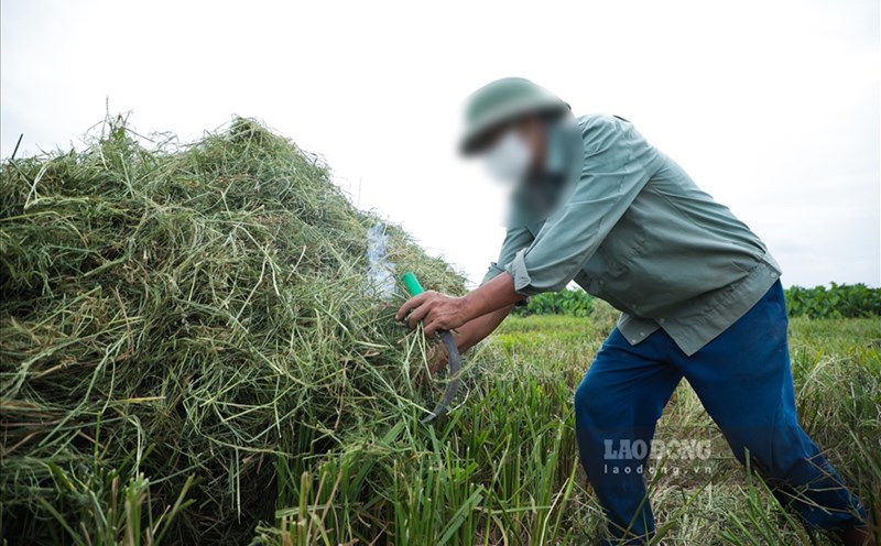 Hà Nội: Gần 350 tấn bụi và hơn 23.000 tấn CO2 phát sinh mỗi vụ đốt rơm rạ