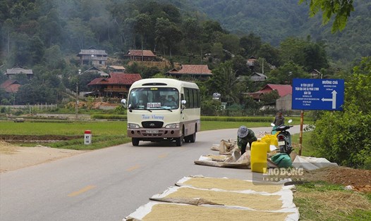 Tình trạng ngang nhiên biến quốc lộ thành sân phơi nông sản đang diễn ra ở nhiều nơi trên địa bàn tỉnh Điện Biên: Ảnh: Văn Thành Chương