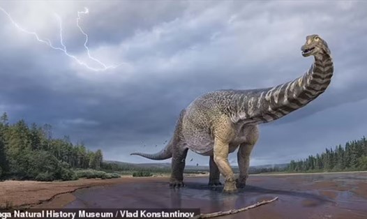 Chân dung loài khủng long to lớn nhất Australia, mệnh danh ''Người khổng lồ phương nam''. Ảnh: Eromanga Natural History Museum
