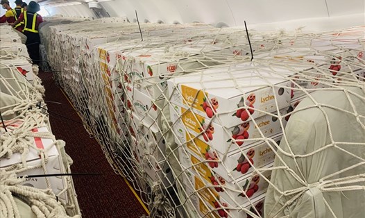 Vietnam Post đã dành trọn tải chuyến bay mang hàng chục tấn vải thiều Bắc Giang xuất khẩu sang thị trường Nhật Bản.