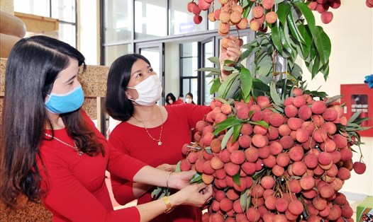 Nhiều loại nông sản, đặc biệt là vải thiều của Bắc Giang đang được đẩy mạnh tiêu thụ. Ảnh: Thu Thủy