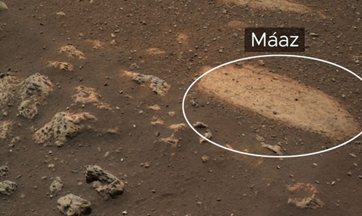 Tảng đá sao Hỏa được tàu thăm dò Perseverance của NASA phát hiện. Ảnh: NASA