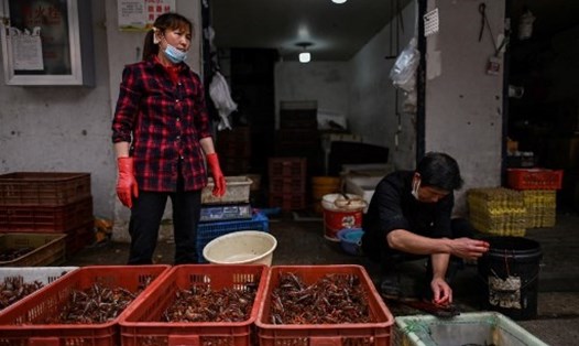 Một quầy hàng bán đồ tươi sống tại một chợ ở Vũ Hán, Trung Quốc hồi tháng 5.2020. Ảnh: AFP
