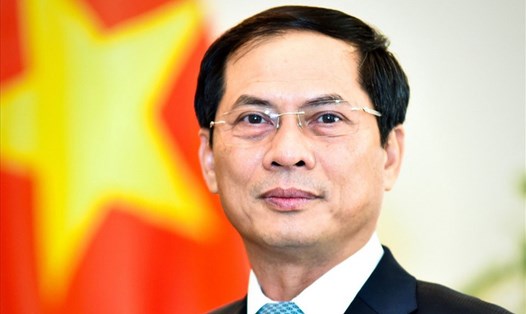 Ủy viên Trung ương Đảng, Bộ trưởng Ngoại giao Bùi Thanh Sơn. Nguồn: BNG