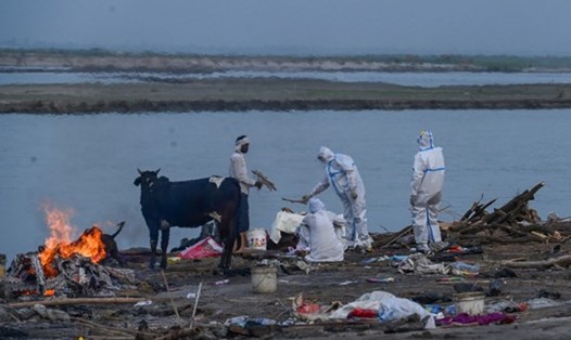 Các nhân viên y tế đang xử lý các thi thể nhiễm COVID-19 được vớt bên bờ sông Hằng. Ảnh: AFP