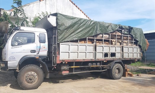 Chiếc xe tải chở gỗ Dổi của doanh nghiệp Giao Trang đang bị tạm giữ để điều tra. Ảnh T.T