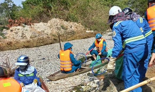Công nhân vệ sinh môi trường vớt cá chết để xử lý ngày 9.7. Ảnh ĐT