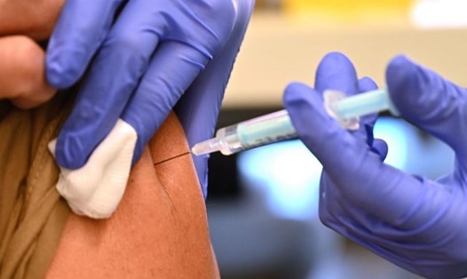 EU đạt được mục tiêu cung cấp đủ vaccine COVID-19 cho 70% dân số trưởng thành. Ảnh: AFP