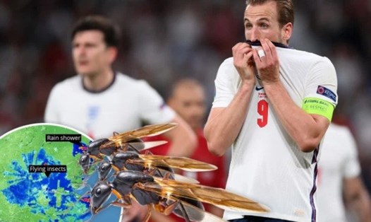 Hàng triệu con kiến đang bay về London, địa điể tổ chức trận chung kết EURO 2020 giữa Anh - Italia.