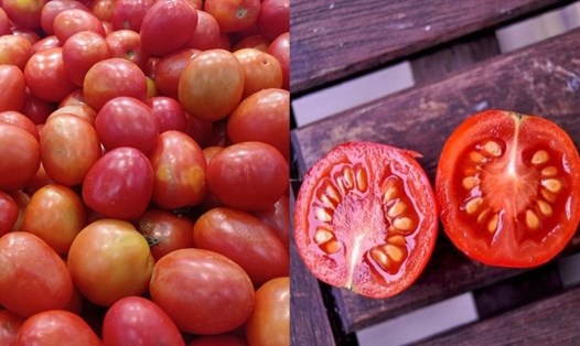 Hạt cà chua không chỉ giúp lưu thông máu, ngăn ngừa hình thành cục máu đông mà còn tốt cho hệ tiêu hóa. Đồ hoạ: Thanh Ngọc
