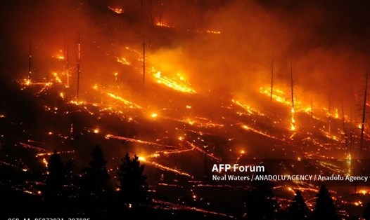 Một đám cháy rừng ở California, Mỹ. Ảnh: AFP