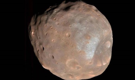 Mặt trăng Phobos của sao Hỏa. Ảnh: NASA