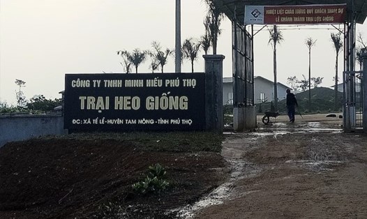 Công ty TNHH Minh Hiếu Phú Thọ - một trong hai doanh nghiệp vừa phải chịu xử phạt vi phạm hành chính trong văn bản của UBND tỉnh Phú Thọ. Ảnh: CTV.