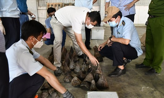 Bắt lô sừng tê giác, xương động vật hoang dã nhập từ Nam Phi. Ảnh: VG