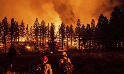 Thời tiết bất lợi càng thúc đẩy các đám cháy rừng đang hoành hành ở Mỹ lan rộng và nghiêm trọng hơn. Ảnh: The Oregon Department of Forestry