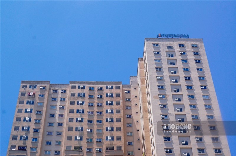 laodong.vn