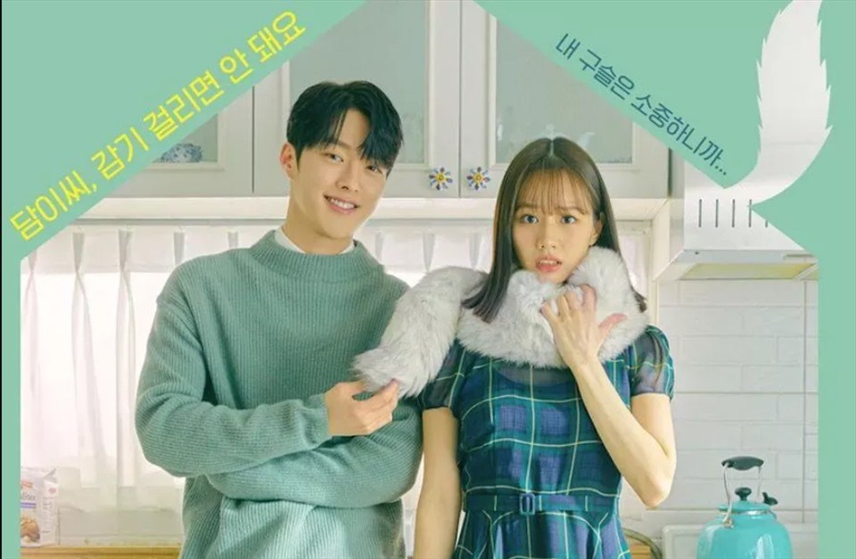 Jang Ki Yong và Hyeri được yêu mến khi đóng chung "My Roommate Is a Gumiho". Ảnh: Poster Jang Ki Yong và Hyeri được yêu mến khi đóng chung "My Roommate Is a Gumiho". Ảnh: Poster