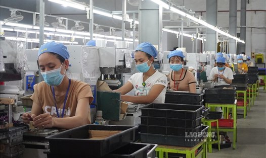 Người lao động làm việc tại Công ty TNHH Kamfung (ở huyện Nga Sơn, tỉnh Thanh Hóa).