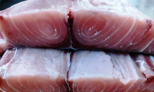 Nguồn cung cá ngừ dồi dào, chất lượng đảm bảo tiêu chuẩn xuất khẩu theo yêu cầu của EC. Ảnh: Phạm Thắm
