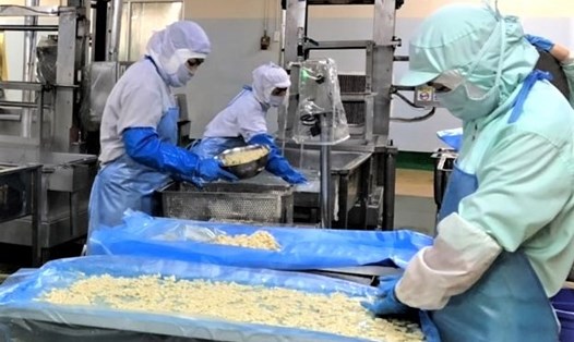 Công nhân Công ty TNHH Thực phẩm Asuzac, Khu Chế xuất Tân Thuận, TPHCM thực hiện "3 tại chỗ" để phòng chống dịch. Ảnh: Đức Long