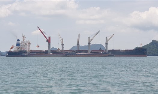 Các hoạt động vận tải hàng hóa đường thủy nội địa và quốc tế trên vùng biển Quảng Ninh vẫn diễn ra sôi động kể từ khi đại dịch COVID-19 bùng phát. Ảnh: Nguyễn Hùng